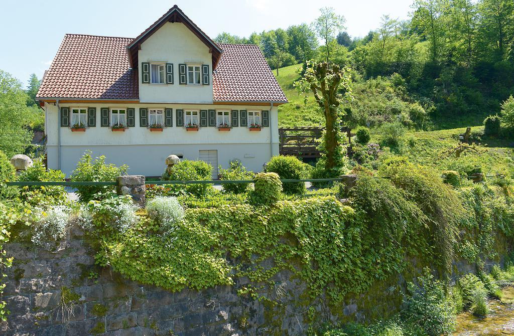 Hotel - Gasthof Blume Oppenau Exterior photo