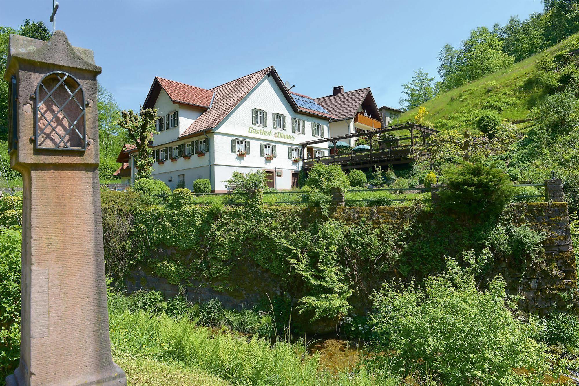 Hotel - Gasthof Blume Oppenau Exterior photo